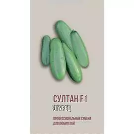 Огурец семена Агрони