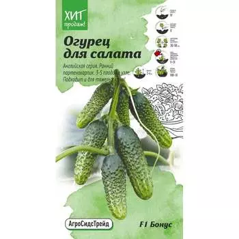 Огурец семена для салата Агросидстрейд