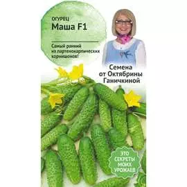 Огурец семена ОКТЯБРИНА ГАНИЧКИНА Маша F1 120160
