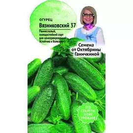 Огурец семена ОКТЯБРИНА ГАНИЧКИНА