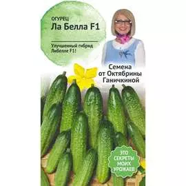 Огурец семена ОКТЯБРИНА ГАНИЧКИНА