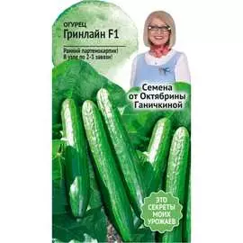 Огурец семена ОКТЯБРИНА ГАНИЧКИНА