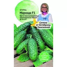 Огурец семена ОКТЯБРИНА ГАНИЧКИНА