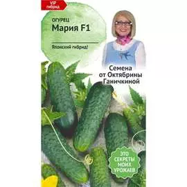 Огурец семена ОКТЯБРИНА ГАНИЧКИНА Мария F1 121258