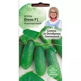 Огурец семена ОКТЯБРИНА ГАНИЧКИНА Отело 119129