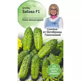 Огурец семена ОКТЯБРИНА ГАНИЧКИНА