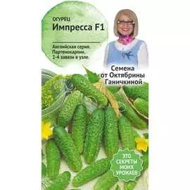 Огурец семена ОКТЯБРИНА ГАНИЧКИНА Импресса F1 121256