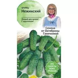 Огурец семена ОКТЯБРИНА ГАНИЧКИНА