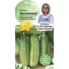 Огурец семена ОКТЯБРИНА ГАНИЧКИНА