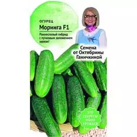 Огурец семена ОКТЯБРИНА ГАНИЧКИНА Моринга F1 119132