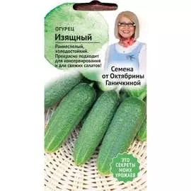 Огурец семена ОКТЯБРИНА ГАНИЧКИНА