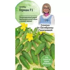 Огурец семена ОКТЯБРИНА ГАНИЧКИНА Герман F1 120157
