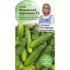 Огурец семена ОКТЯБРИНА ГАНИЧКИНА