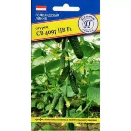 Огурец семена Престиж-Семена СВ 4097 ЦВ F1 00028726