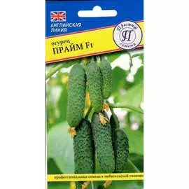 Огурец семена Престиж-Семена