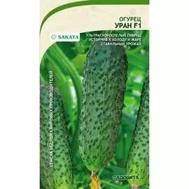 Огурец семена Садовита