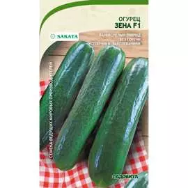 Огурец семена Садовита