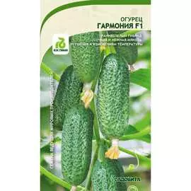 Огурец семена Садовита Гармония F1 00194074