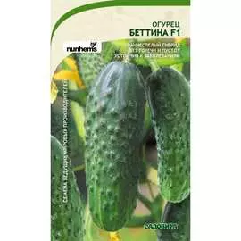 Огурец семена Садовита