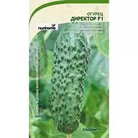 Огурец семена Садовита