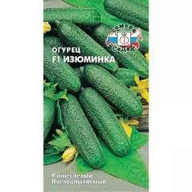 Огурец семена СеДек