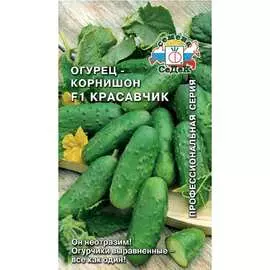 Огурец семена СеДек