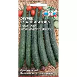 Огурец семена СеДек