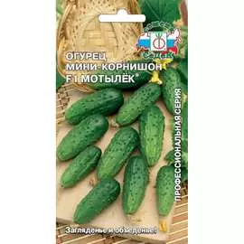 Огурец семена СеДек