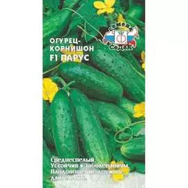 Огурец семена СеДек