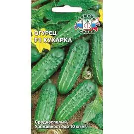Огурец семена СеДек