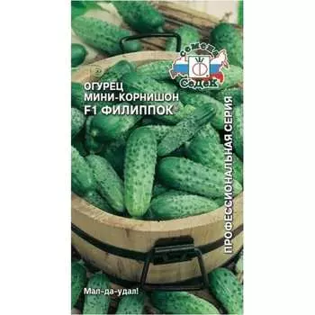 Огурец семена СеДек Филиппок 00000013940