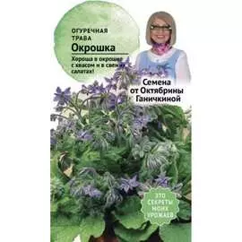 Огуречная трава семена ОКТЯБРИНА ГАНИЧКИНА Окрошка 120161