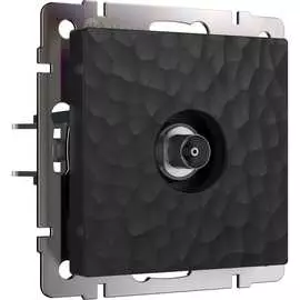 Оконечная тв-розетка WERKEL