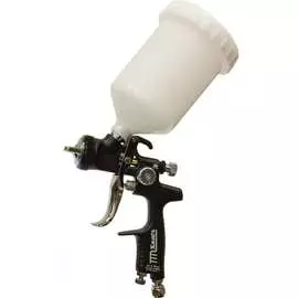 Окрасочный пистолет Radex