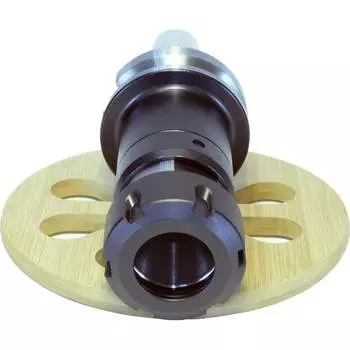 Оправка PROSAERS BT50-TER25-120 32095