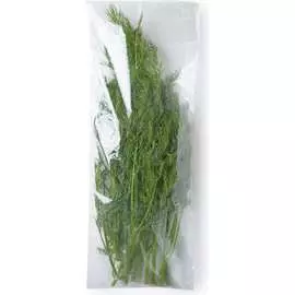 Пакет для зелени PACK INNOVATION IP00РР0MP01545.25-5