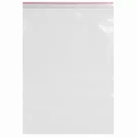 Пакеты BRAUBERG 606219