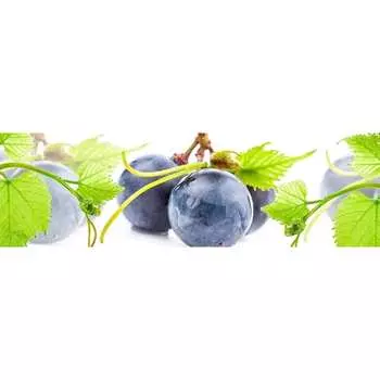 Панель для кухонного фартука ФАРТУКОФФ ФФ-214 35012140402