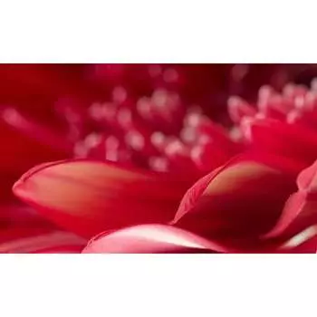 Панель для кухонного фартука ФАРТУКОФФ ФФ-236 35012360402