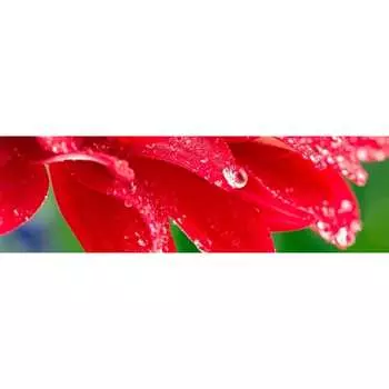 Панель для кухонного фартука ФАРТУКОФФ ФФ-235 35012350402