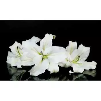 Панель для кухонного фартука ФАРТУКОФФ ФФ-224 35012240401