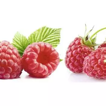 Панель для кухонного фартука ФАРТУКОФФ ФФ-14 35010140401