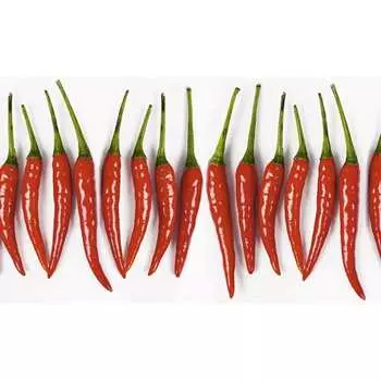 Панель для кухонного фартука ФАРТУКОФФ ФФ-15 35010150401