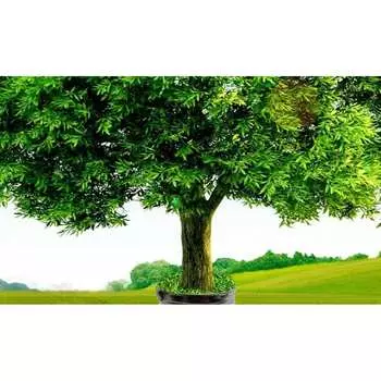 Панель для кухонного фартука ФАРТУКОФФ ФФ-1 35010010401