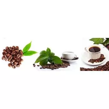 Панель для кухонного фартука ФАРТУКОФФ ФФ-118 35011180402