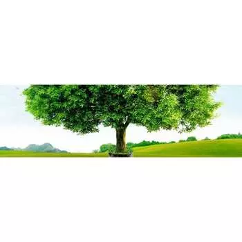 Панель для кухонного фартука ФАРТУКОФФ ФФ-1 35010010402