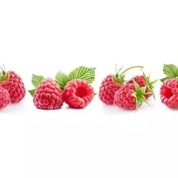 Панель для кухонного фартука ФАРТУКОФФ ФФ-14 35010140402