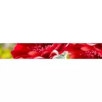 Панель для кухонного фартука ФАРТУКОФФ ФФ-236 35012360404