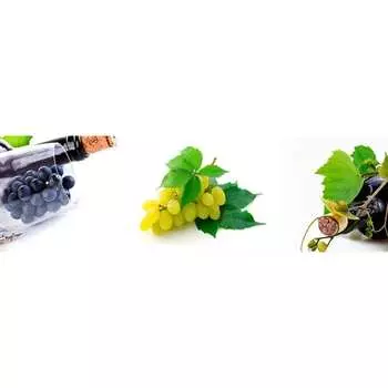 Панель для кухонного фартука ФАРТУКОФФ ФФ-54 35010540402