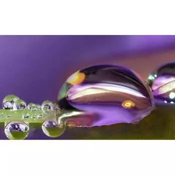 Панель для кухонного фартука ФАРТУКОФФ ФФ-219 35012190401